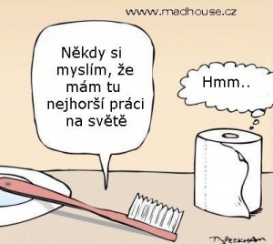 toaletny a zubna kefka